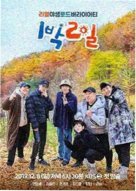花儿与少年·丝路季